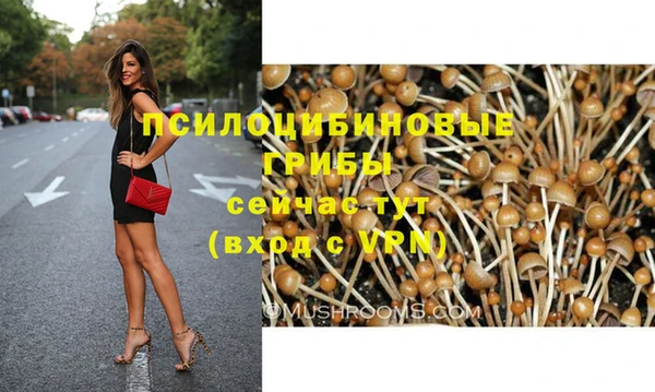 твердый Абинск