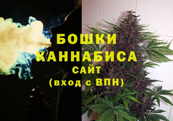 прущие грибы Абдулино