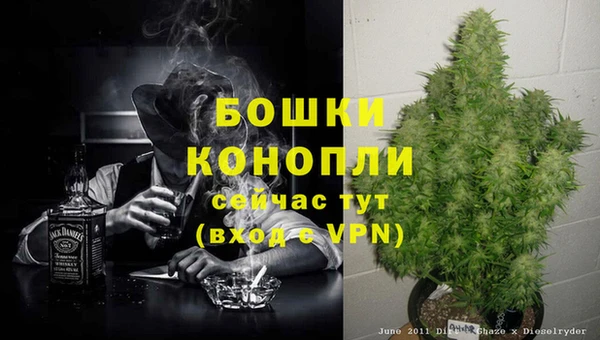 прущие грибы Абдулино