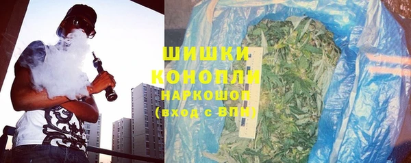 прущие грибы Абдулино
