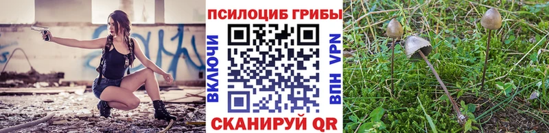 даркнет сайт  Шимановск  Галлюциногенные грибы Psilocybine cubensis 